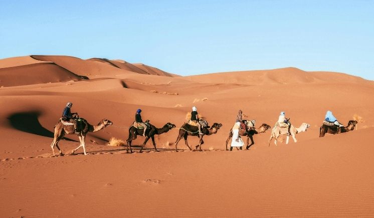 Camel Trekking in Merzouga at sunrise